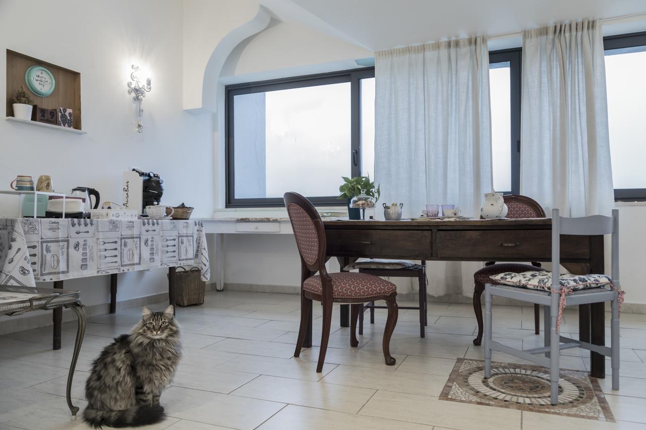 Il Pettirosso B&B Grottaferrata Ngoại thất bức ảnh